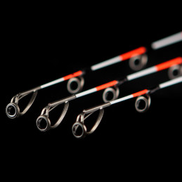 CANNE FEEDER "BY DÖME TF MASTER 365LC 30-110gr" - NEVIS
