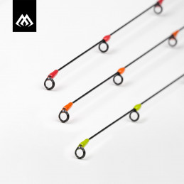 SCIONS POLONAIS HYBRIDES...