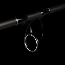 CANNE QUIVER "BARBEL RIVER FEEDER 420XXH" - 100-250 GR - NEVIS