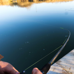 CANNE QUIVER "BARBEL RIVER FEEDER 420XXH" - 100-250 GR - NEVIS