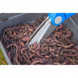 CISEAUX "DOUBLE CHOP WORM SCISSORS" - MAP FISHING